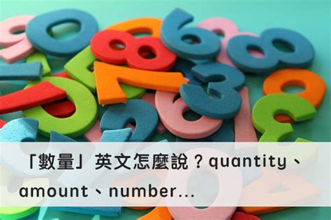 數量|「數量」英文怎麼說？quantity、amount、number。